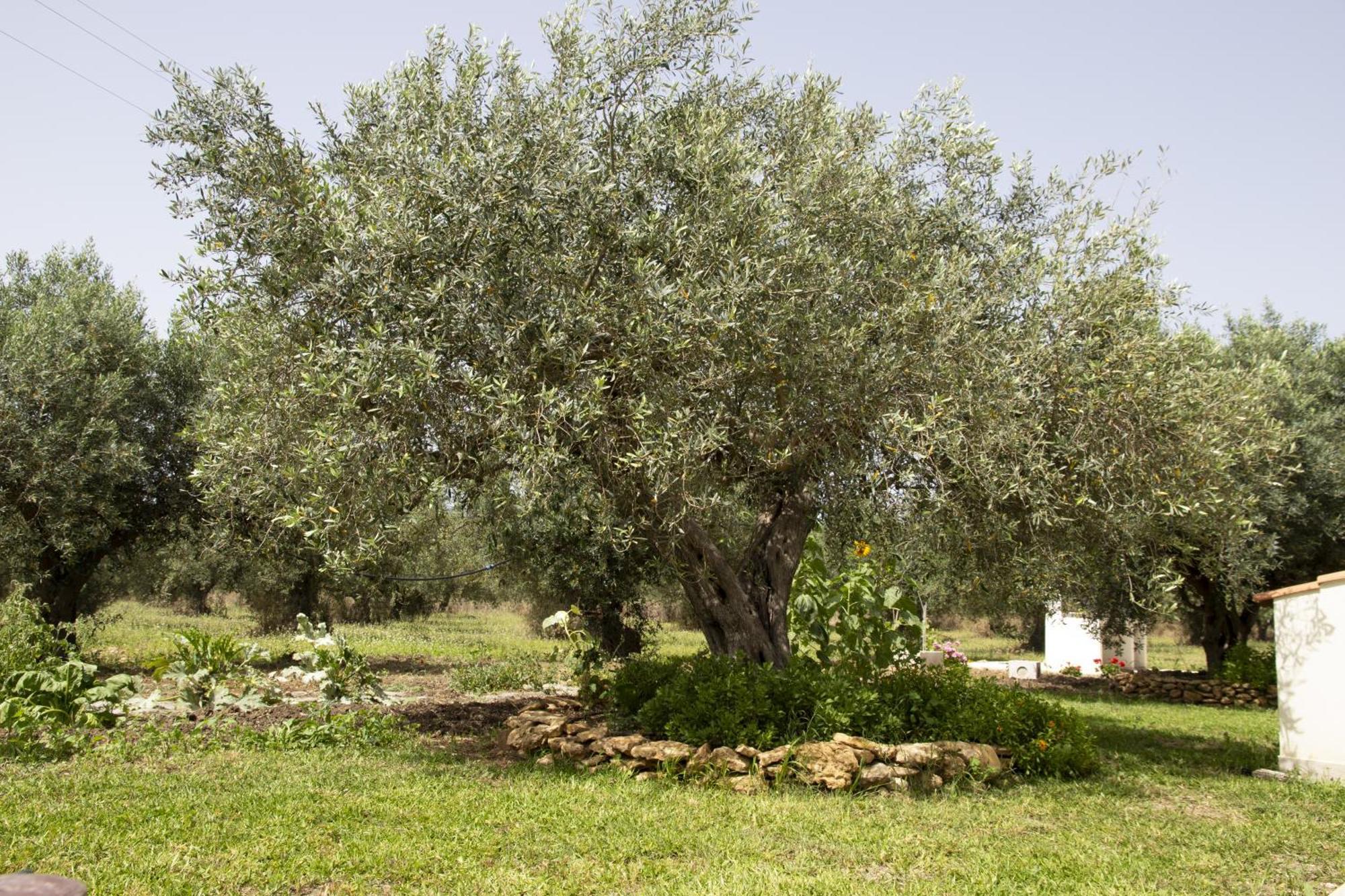 Casa Raineri Βίλα Paceco Εξωτερικό φωτογραφία